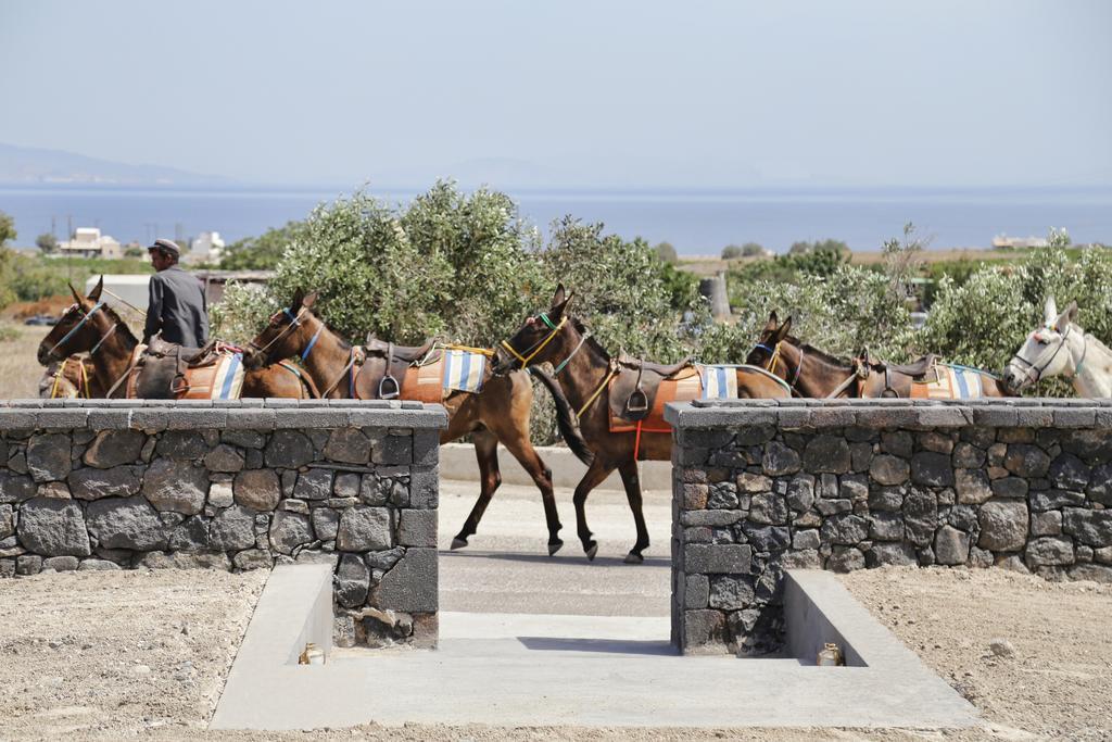 Vino Houses Santorini Foinikiá エクステリア 写真